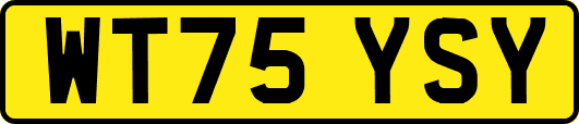 WT75YSY