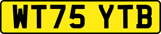 WT75YTB
