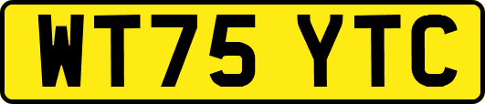 WT75YTC
