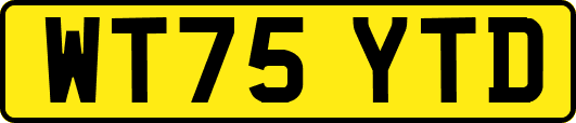 WT75YTD