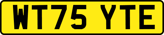 WT75YTE