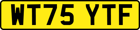 WT75YTF