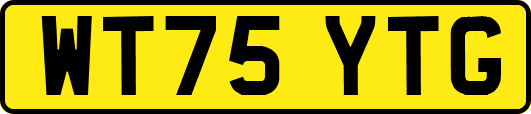 WT75YTG