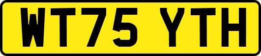 WT75YTH