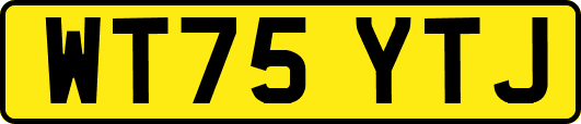 WT75YTJ
