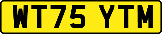 WT75YTM