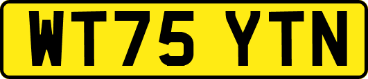 WT75YTN