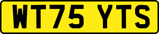 WT75YTS
