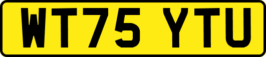 WT75YTU