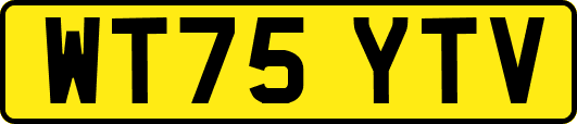 WT75YTV