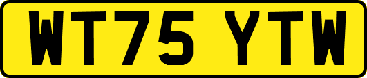 WT75YTW
