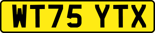 WT75YTX