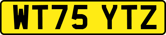 WT75YTZ