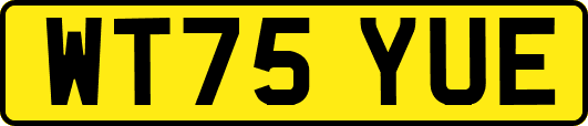 WT75YUE