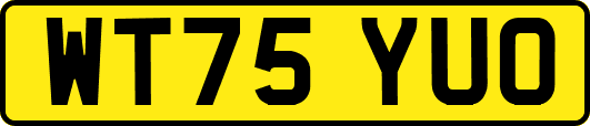 WT75YUO