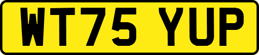 WT75YUP