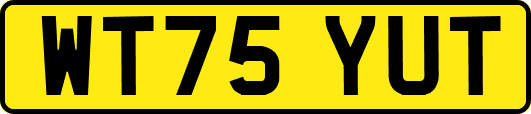 WT75YUT