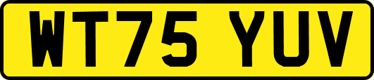 WT75YUV