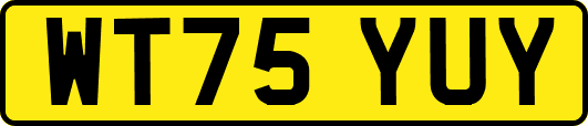 WT75YUY