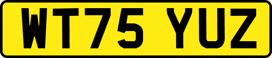 WT75YUZ