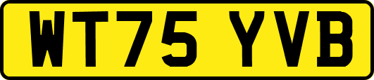 WT75YVB