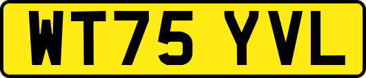 WT75YVL