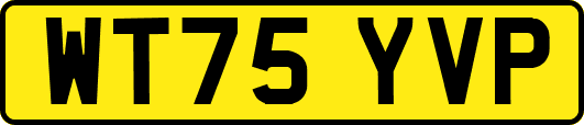 WT75YVP