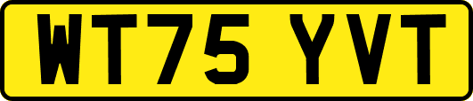 WT75YVT