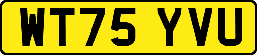 WT75YVU