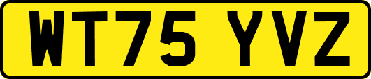 WT75YVZ