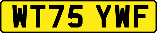 WT75YWF