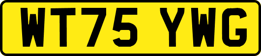 WT75YWG