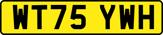 WT75YWH