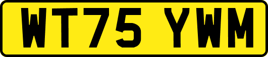 WT75YWM