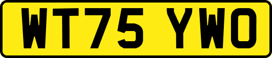 WT75YWO