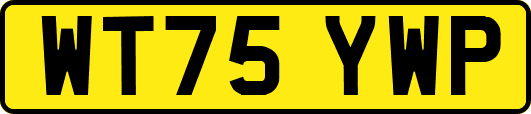 WT75YWP