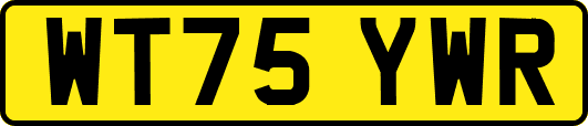 WT75YWR