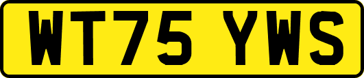 WT75YWS