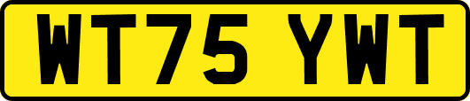 WT75YWT