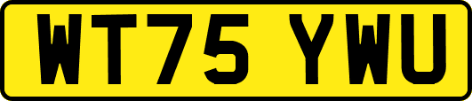 WT75YWU