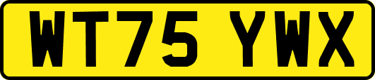 WT75YWX