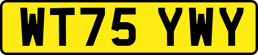 WT75YWY