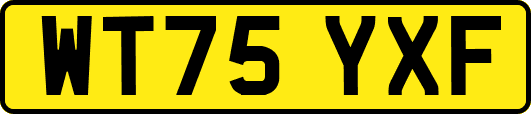 WT75YXF