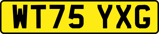 WT75YXG