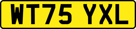 WT75YXL