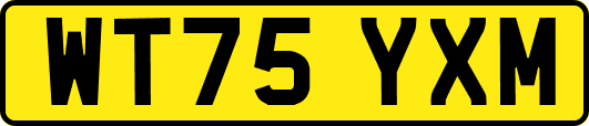 WT75YXM