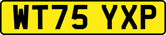WT75YXP