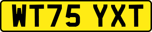 WT75YXT