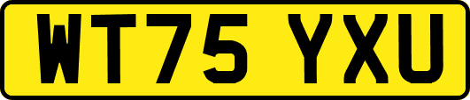 WT75YXU