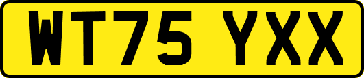 WT75YXX